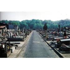 Le cimitiere - Fontainebleau-Avon - the row of graves (photo Jan Kemp)